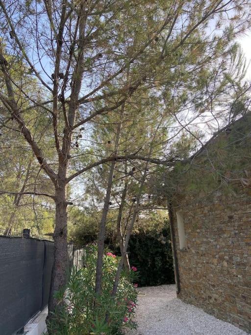 Maison Proche Du Pic Saint Loup Esterno foto